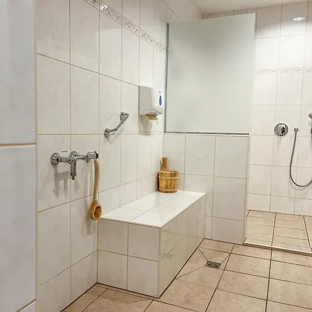 Panoramablick Mit Schwimmbad Und Sauna